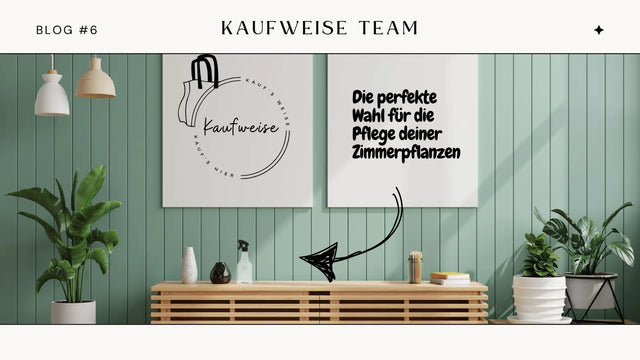 Leitfaden: Die perfekte Wahl für die Pflege deiner Zimmerpflanzen