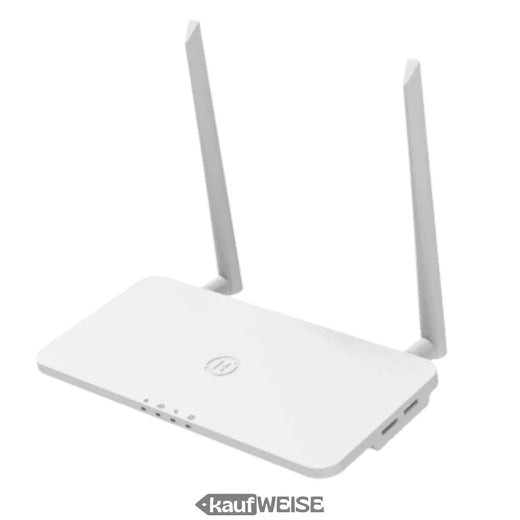 Hoymiles DTU-Pro-S – WLAN duomenų kaupiklis, skirtas mikroinverteriams | Stebėjimas ir priežiūra