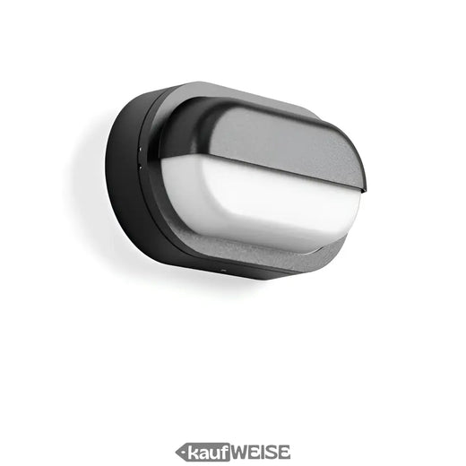 RZB Alu-Lux Ovalinis LED sieninis ir lubinis šviestuvas | 582065.0031.1